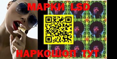 прущие грибы Гудермес