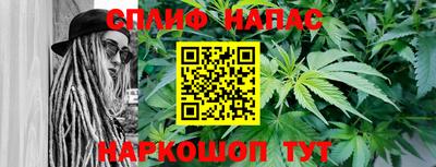 крисы Вязьма
