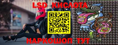 прущие грибы Гудермес