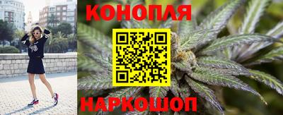 прущие грибы Гудермес