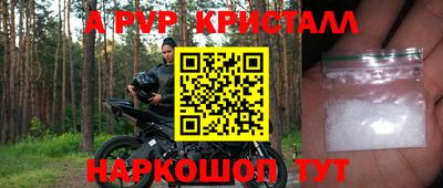 прущие грибы Гудермес