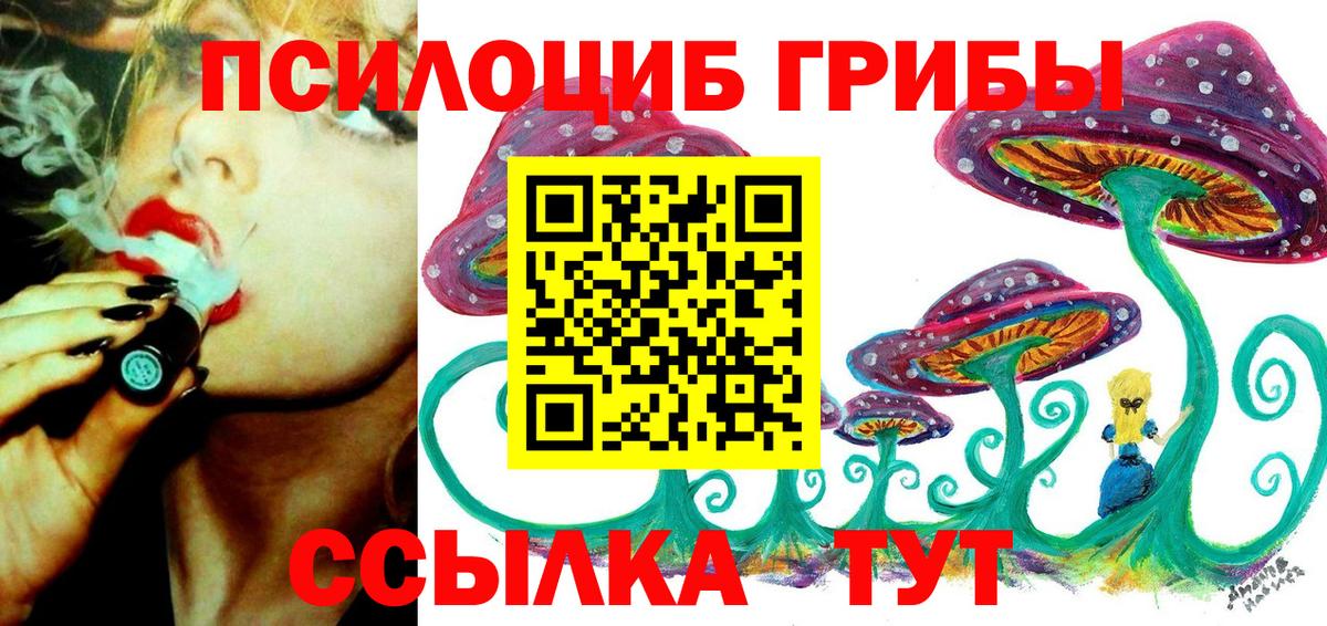 где купить наркотик  Вход с VPN  Иваново  Псилоцибиновые грибы GOLDEN TEACHER 