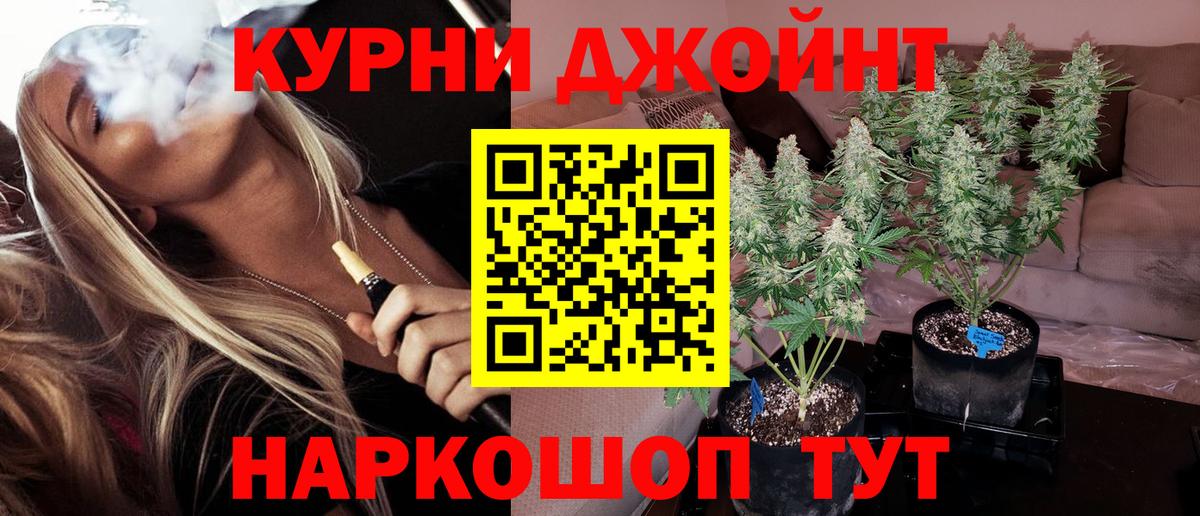 Канабис сатива Иваново